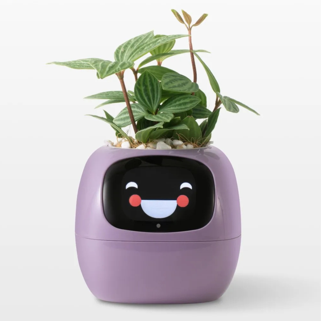 PlanteVen – Interaktiv Smart Urtepotte