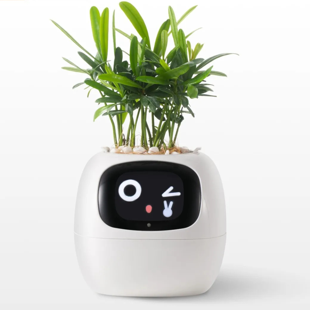 PlanteVen – Interaktiv Smart Urtepotte