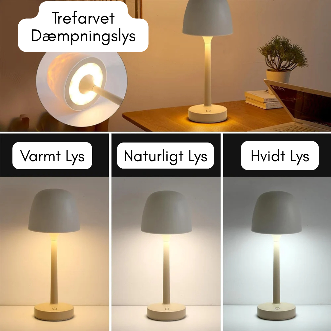GlowMuse Nordlys Lampe