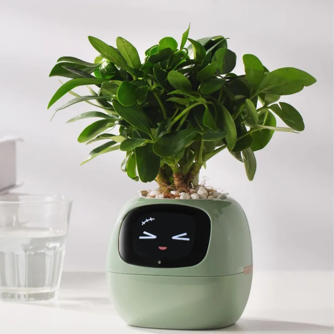 PlanteVen – Interaktiv Smart Urtepotte