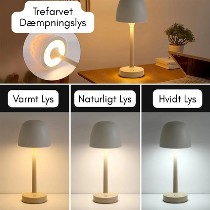 GlowMuse Nordlys Lampe